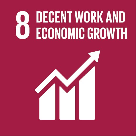 SDG8